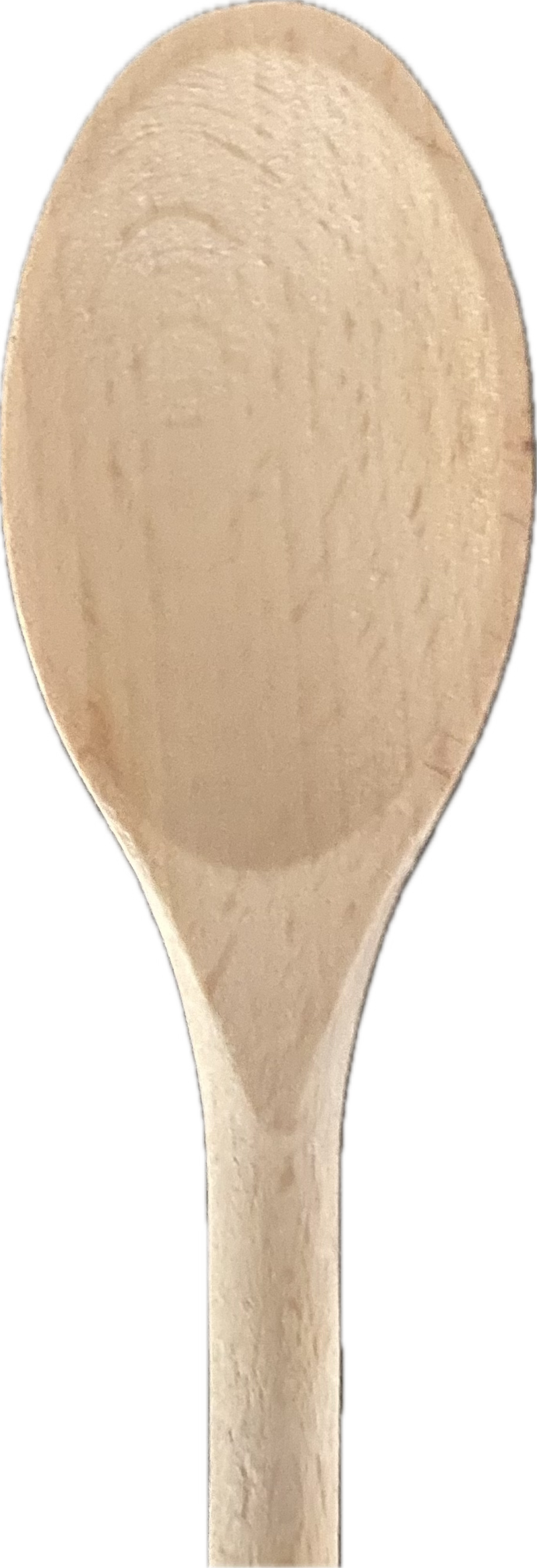 Pollepel standaard model